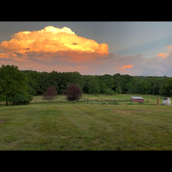 1️⃣ Urban Teacher 2️⃣ High Desert Dweller 3️⃣ Upcycler 4Ever 🙌🏼 - Picture 11 of 13